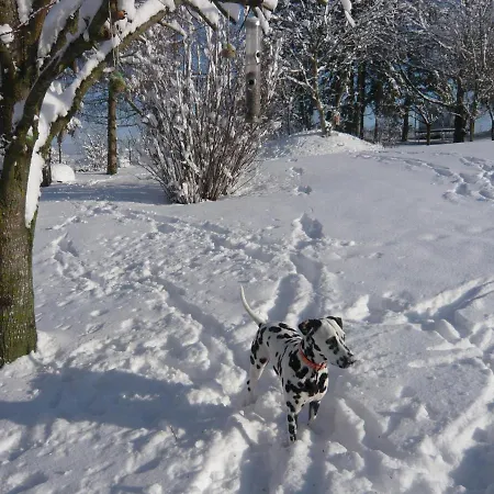 Le Bleu Holiday home *