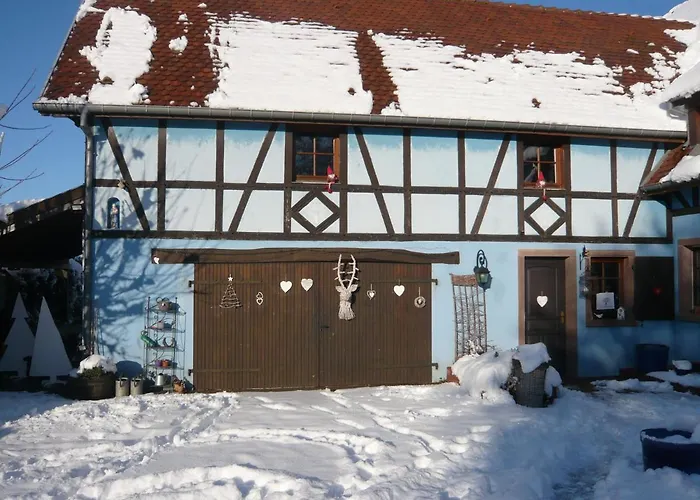 Le Bleu * Willgottheim